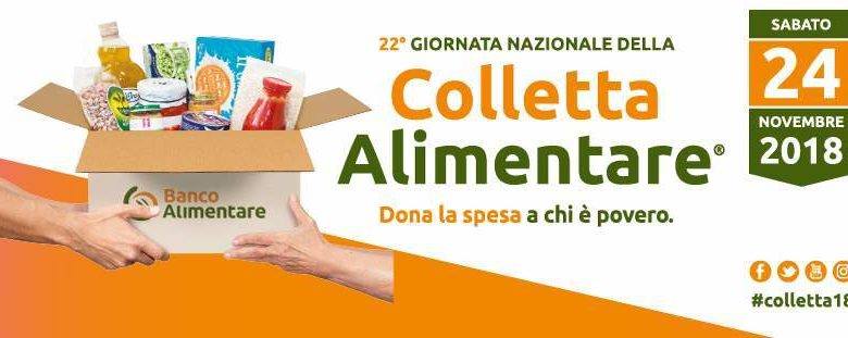 colletta alimentare ovus